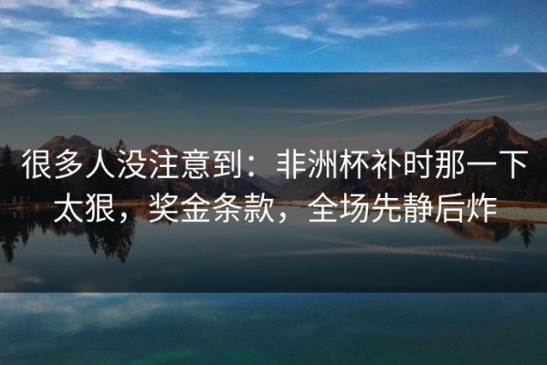 很多人没注意到：非洲杯补时那一下太狠，奖金条款，全场先静后炸