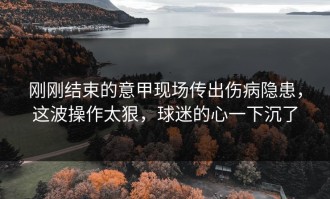 刚刚结束的意甲现场传出伤病隐患，这波操作太狠，球迷的心一下沉了