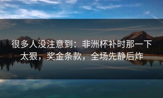 很多人没注意到：非洲杯补时那一下太狠，奖金条款，全场先静后炸