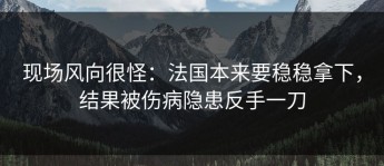 现场风向很怪：法国本来要稳稳拿下，结果被伤病隐患反手一刀
