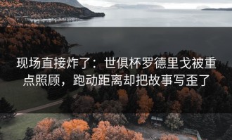 现场直接炸了：世俱杯罗德里戈被重点照顾，跑动距离却把故事写歪了