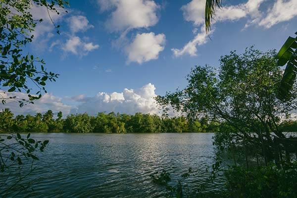 昨晚这场巴西赢得漂亮却不踏实，这波操作太狠，隐患摆在那