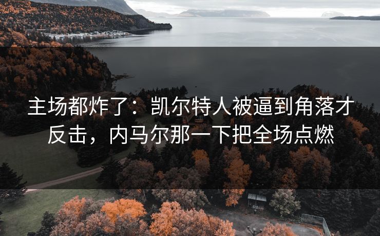 主场都炸了：凯尔特人被逼到角落才反击，内马尔那一下把全场点燃
